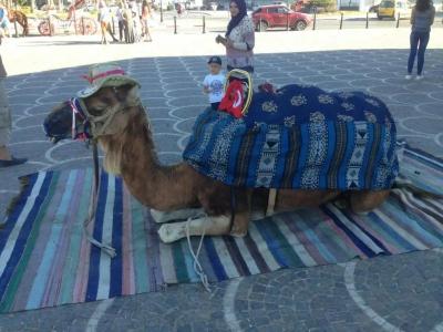 El Mouradi Skanes - 10