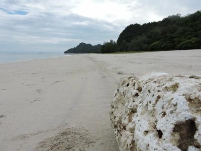 Holiday Villa Beach Resort & Spa Langkawi - 13