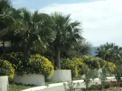 Bodrum Holiday Resort & Spa - 60