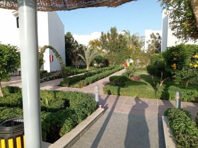 Desert View Sharm - 26