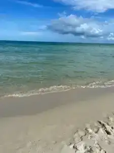 Samui Green - 19