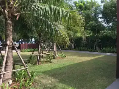 Avatar Railay - 23