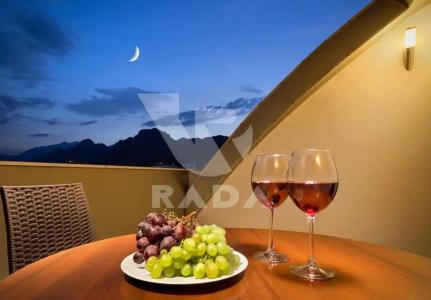 Onkel Rada Apart - 23