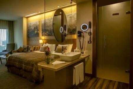 Gorrion Istanbul - 61