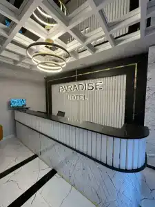 Paradise Airport - 21