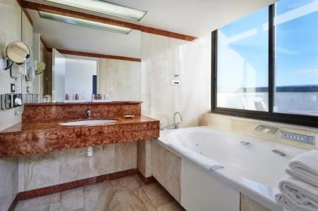 Holiday Inn Nice, an IHG - 30