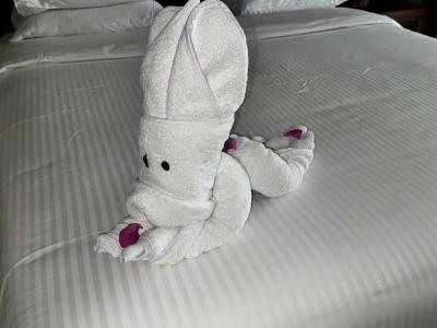 Stella Di Mare Beach & Spa - 65