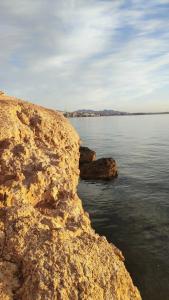 Amphoras Blu - 70