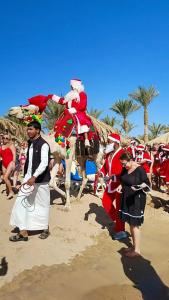 Fayrouz Resort - 50