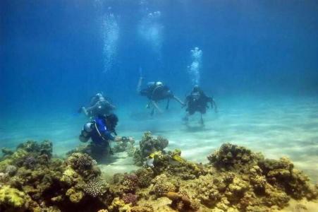 Nubian Village, Families and Couples only - 52