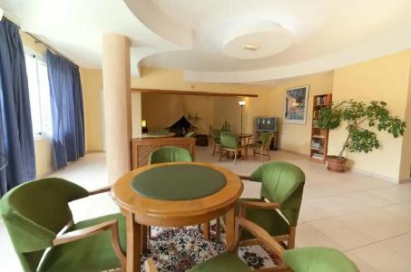 Vibra Palma Cactus - 75