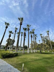 Dalaman Airport AliBaba House - 96