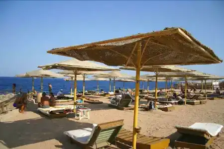 Falcon Naama Star - 20