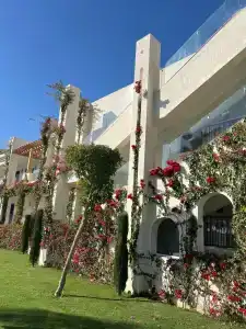 Sunrise Montemare Resort -Grand Select - 8