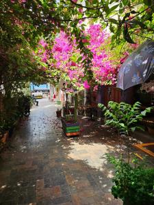 Tuvana - 7