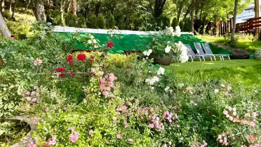 BSA Gradina - All Inclusive & Private Beach - 20