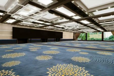 Royal Orchid Sheraton and Towers - 28