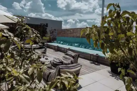 Gekko House Frankfurt, a Tribute Portfolio - 8