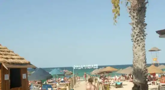 Riadh Palms- Resort & Spa - 3