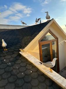 Berce Apartments - 18