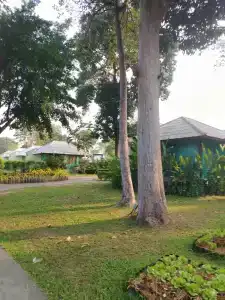 Sai Kaew Beach Resort - 98