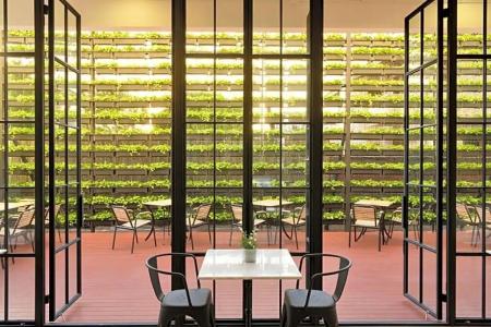 Ruenthip Pattaya - 30