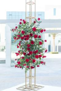Radisson Red, Dubai Silicon Oasis - 21