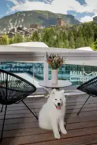 Ecrin Blanc Resort Courchevel - 12