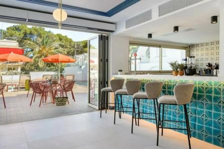 Vibra Palma Cactus - 66