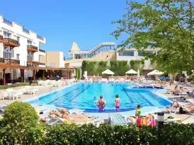 Falcon Naama Star - 13