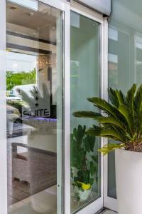 Suite Elite - 29
