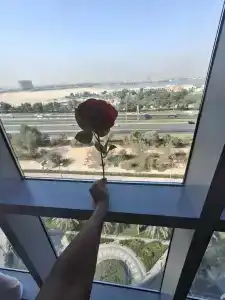 Novotel Abu Dhabi Gate - 12