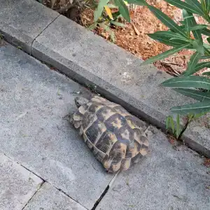 Crystal Green Bay Resort & Spa - Ultimate All Inclusive - 53