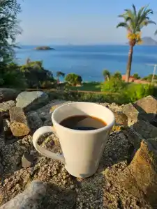 Yasmin Bodrum Resort - 40