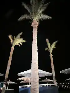 Swiss Inn Resort Hurghada - 37