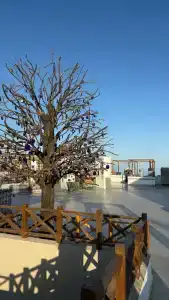 Pyramisa Beach Resort Sharm El Sheikh - 70