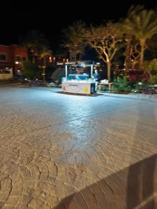 Caribbean World Resort Soma Bay - 88