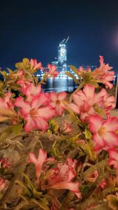 Marjan Island Resort & Spa Managed By Accor - 27