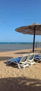 Sharm Bride Resort Aqua & SPA - 87