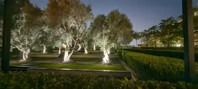 The Oberoi Beach Resort, Al Zorah - 63