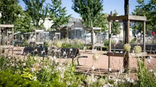 Bayard Bellecour - 3