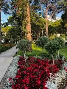 Baia Kemer Club - 12