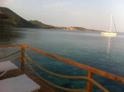 Assos Behram Special Class Adult Only 12 - 27