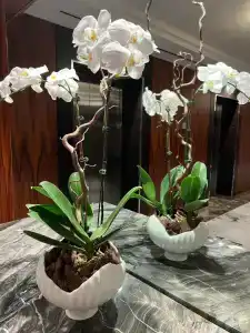 Grosvenor House, a Luxury Collection, Dubai - 84