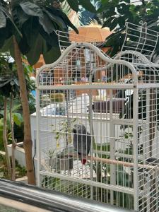 Mercure Grand Jebel Hafeet - 25