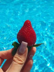 Voyage Belek Golf & Spa - 62