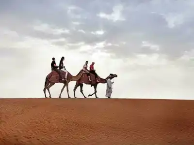 The Retreat Palm Dubai MGallery by Sofitel - 11