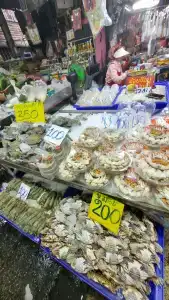 Garden Sea View Resort - 63