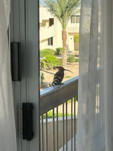 Hurghada Long Beach Resort - 42