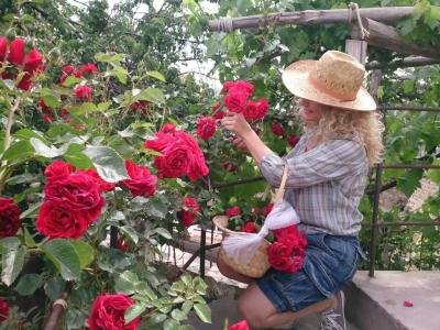 Melekler Evi Cave - 50